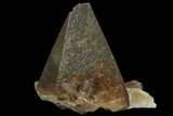 Dogtooth Calcite Crystal - Morocco #96837-1